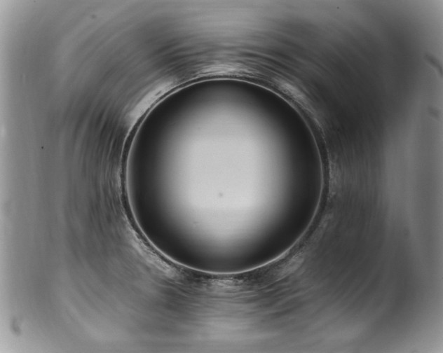 X0000100851330200806201205