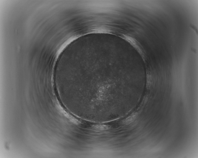 X0000100851331200806201205