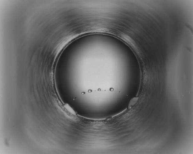 X0000100851332200806201205
