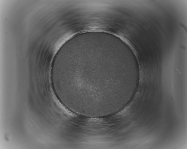 X0000100851333200806201205