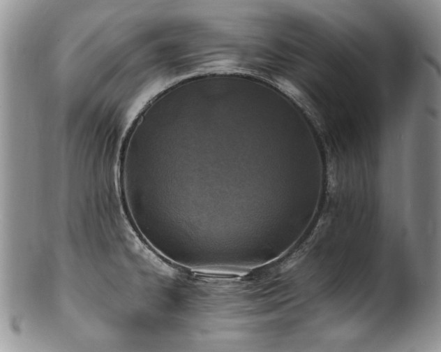 X0000100851334200806201205