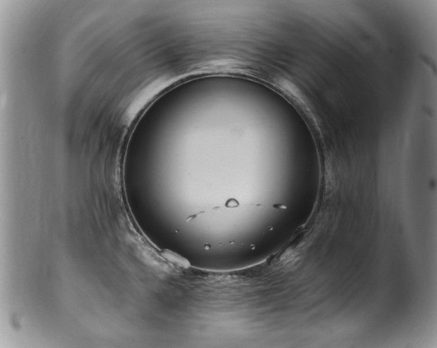X0000100851336200806201205