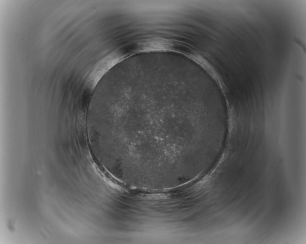 X0000100851337200806201205