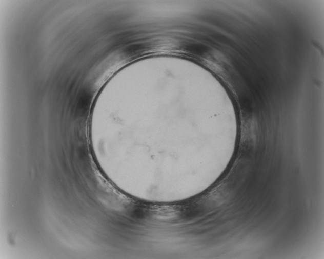 X0000100851338200806201205
