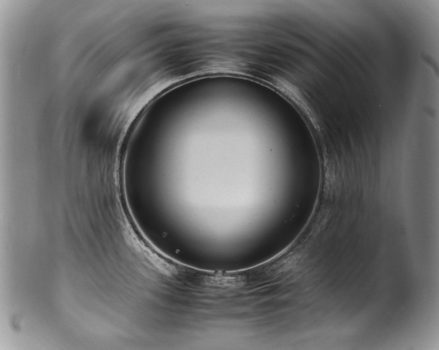 X0000100851339200806201205