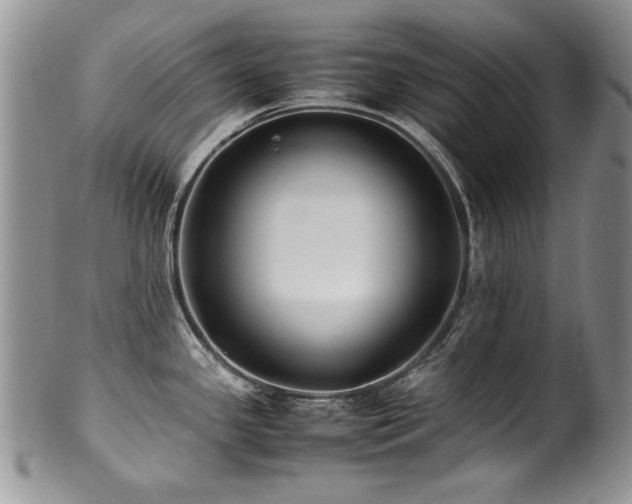 X0000100851341200806201205