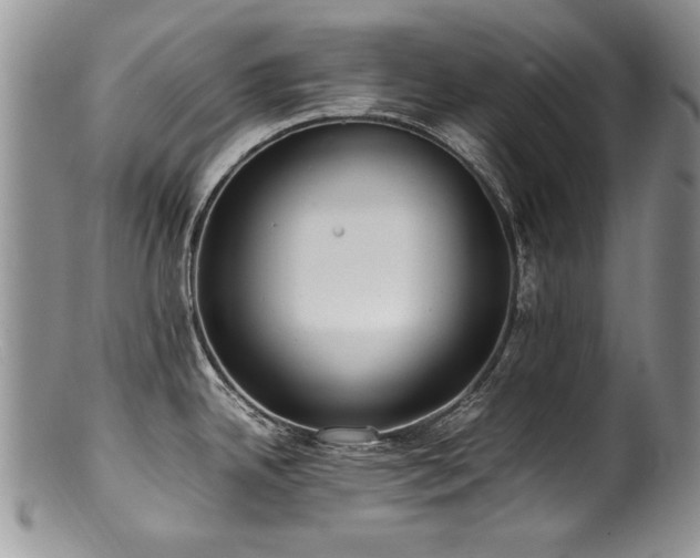 X0000100851342200806201205