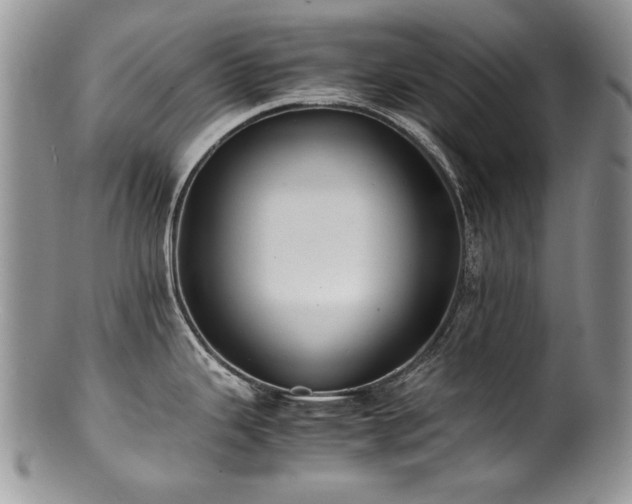 X0000100851343200806201205