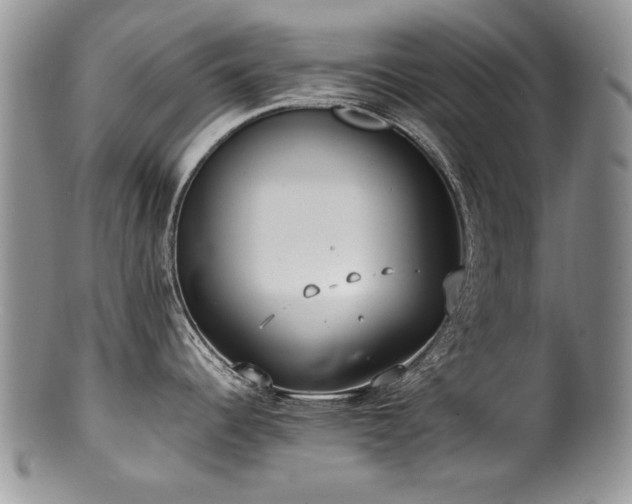X0000100851344200806201205