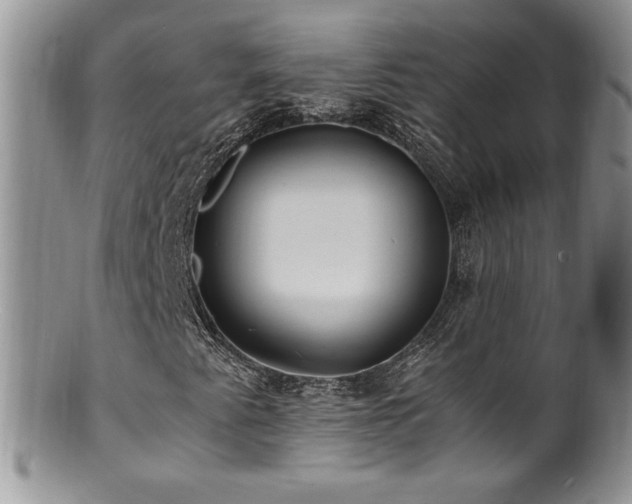 X0000100851345200806201204