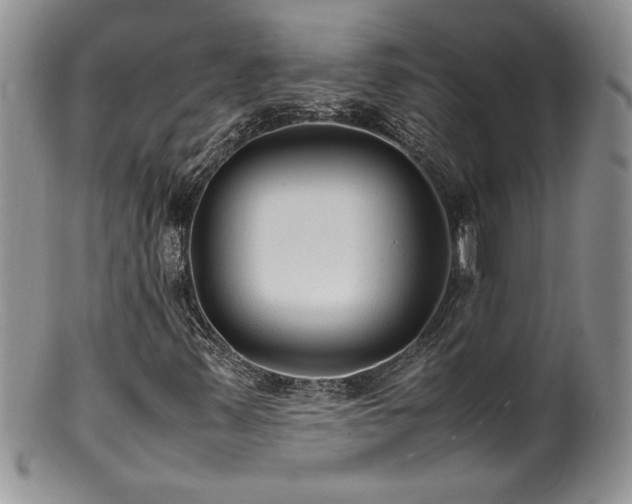 X0000100851347200806201204