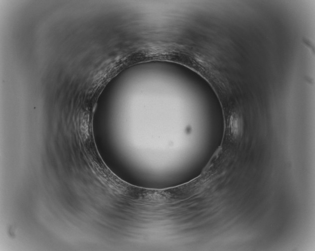 X0000100851348200806201204
