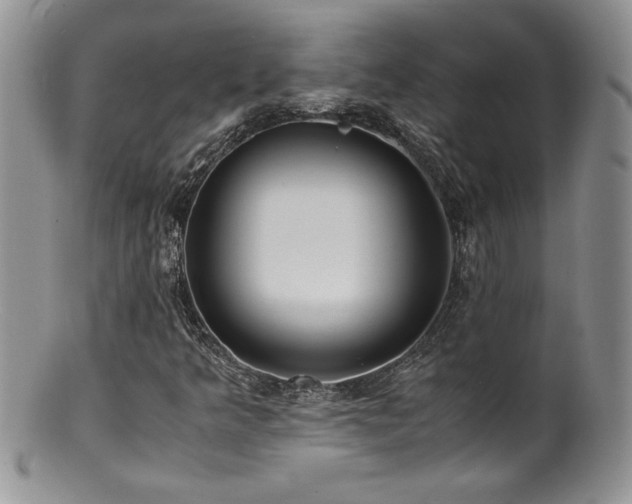 X0000100851349200806201204