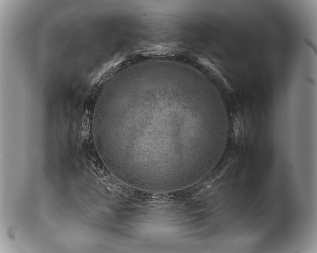 X0000100851350200806201204