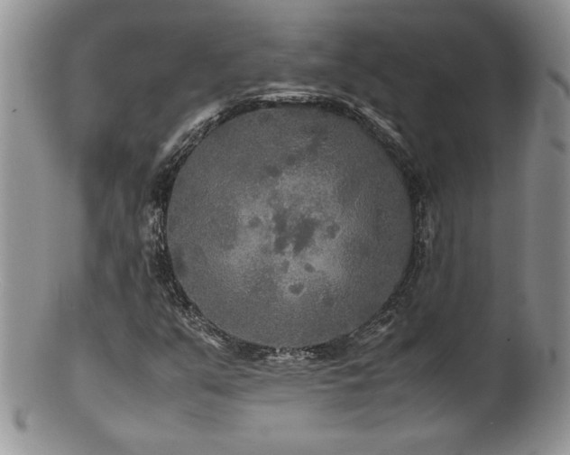 X0000100851351200806201204