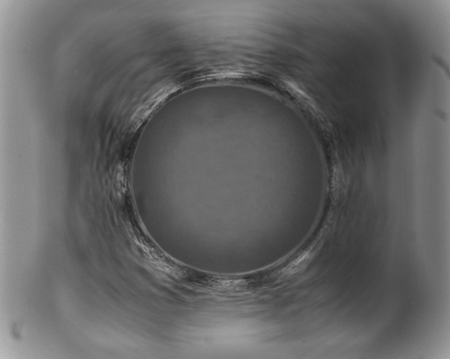 X0000100851353200806201204
