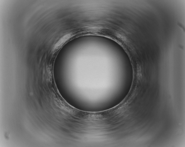 X0000100851354200806201204