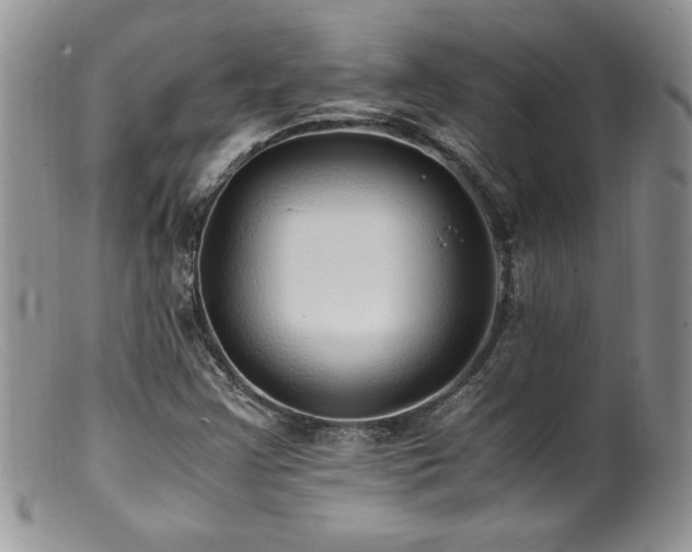 X0000100851355200806201204