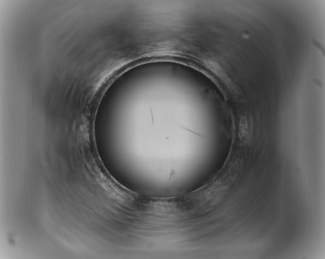 X0000100851356200806201204