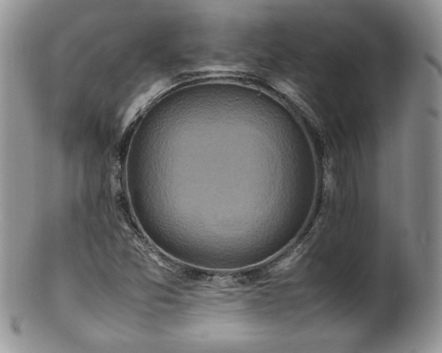 X0000100851357200806201204