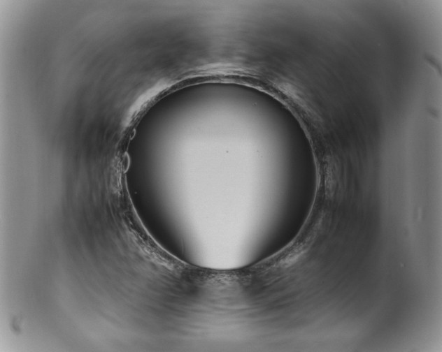 X0000100851358200806201204