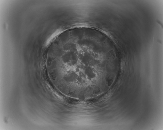 X0000100851359200806201204