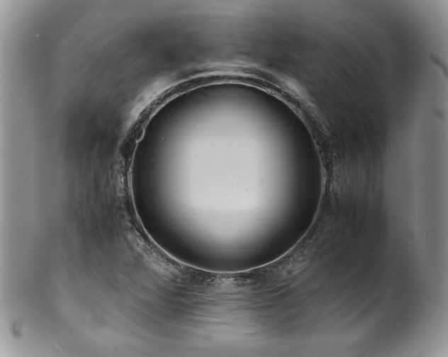 X0000100851360200806201204