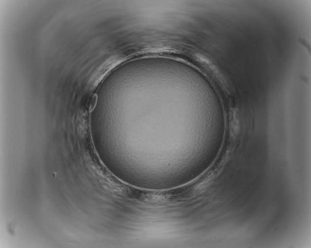 X0000100851361200806201204