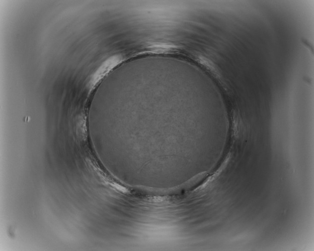 X0000100851362200806201204