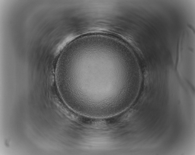 X0000100851363200806201204