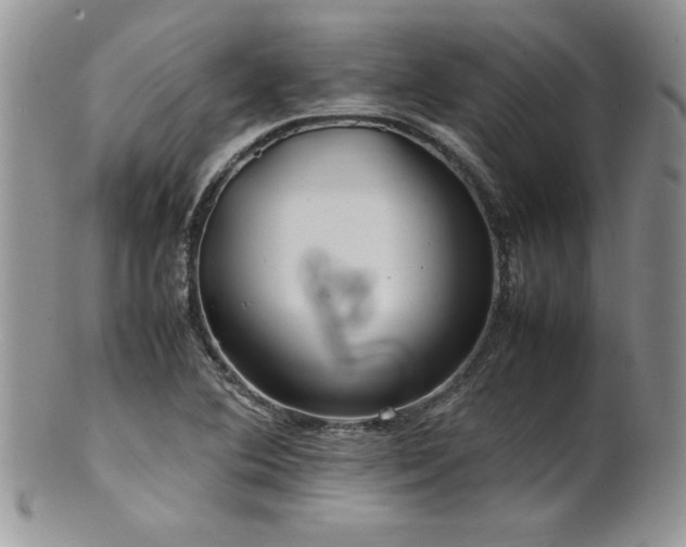X0000100851364200806201204