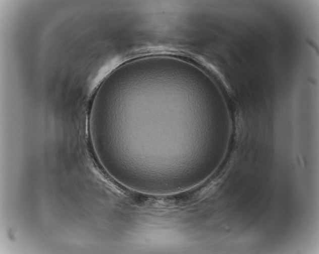 X0000100851365200806201204