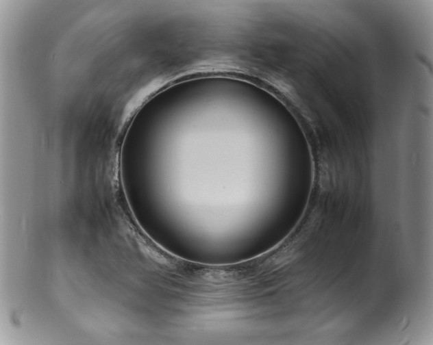 X0000100851366200806201204