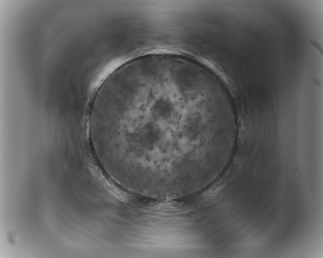 X0000100851367200806201204