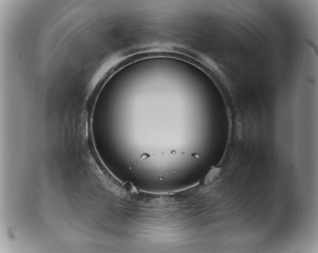 X0000100851368200806201204