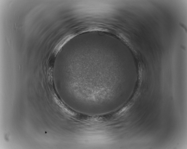 X0000100851369200806201204