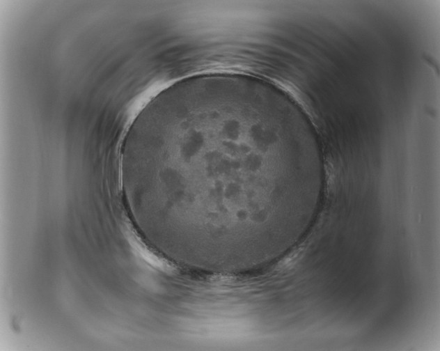 X0000100851371200806201204