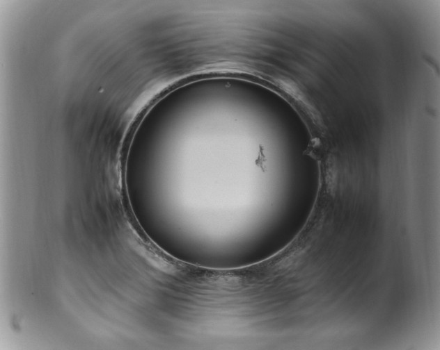 X0000100851372200806201204