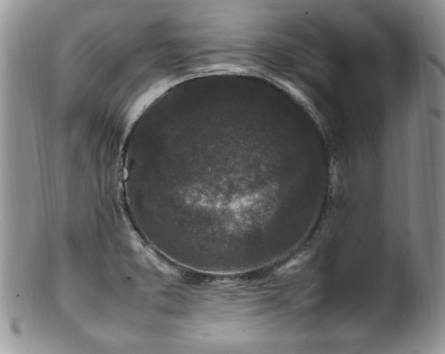 X0000100851373200806201204