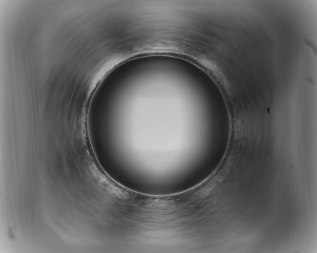 X0000100851374200806201204