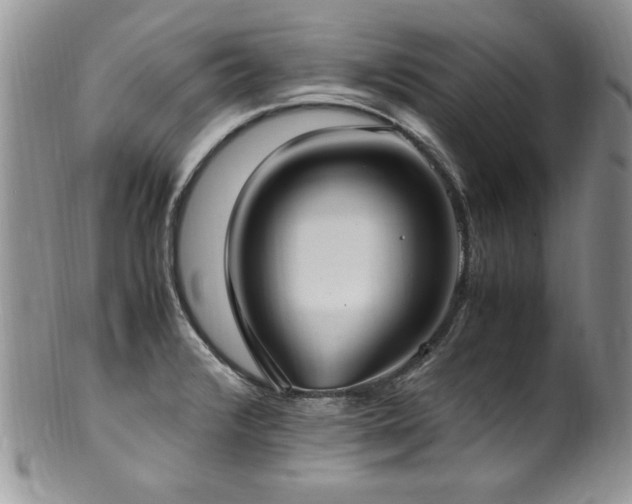 X0000100851376200806201204