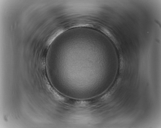 X0000100851377200806201204