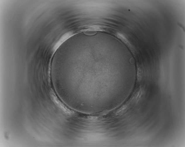 X0000100851378200806201204