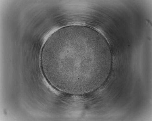 X0000100851379200806201204