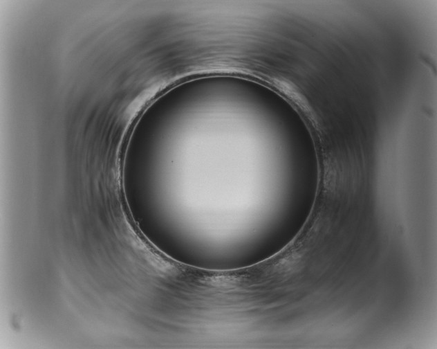 X0000100851380200806201204