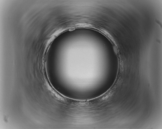 X0000100851381200806201204