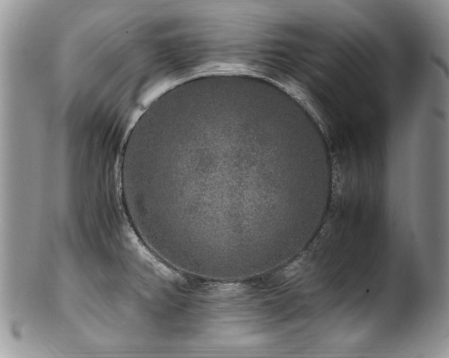X0000100851382200806201204