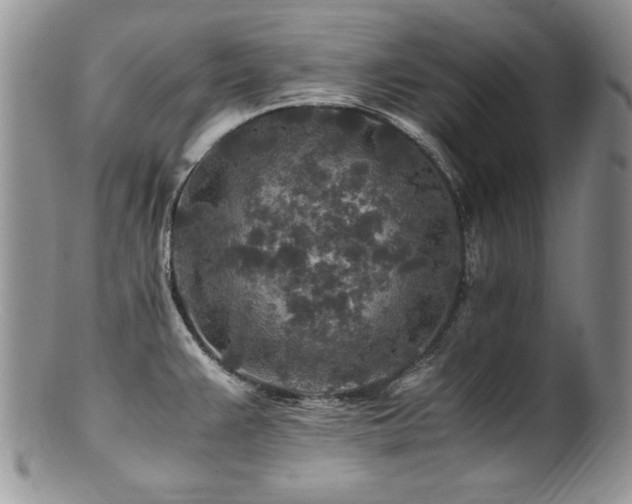 X0000100851383200806201204