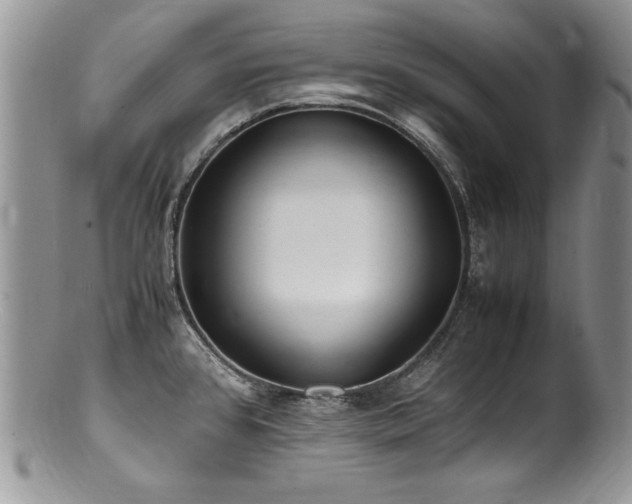X0000100851384200806201204
