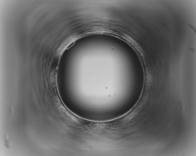 X0000100851385200806201204